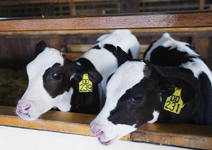 ��ֳ��ҵ��ˮ���˷���