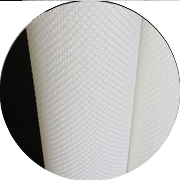 ѡ����������